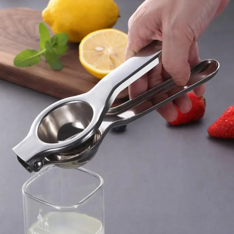 Stainless Steel Citrus Fruit Juicer
