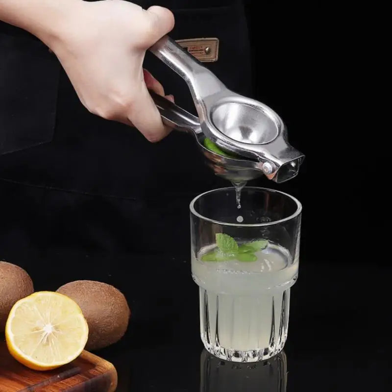 Stainless Steel Citrus Fruit Juicer