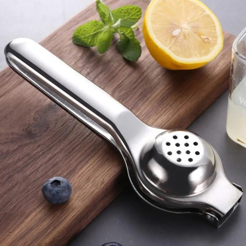 Stainless Steel Citrus Fruit Juicer