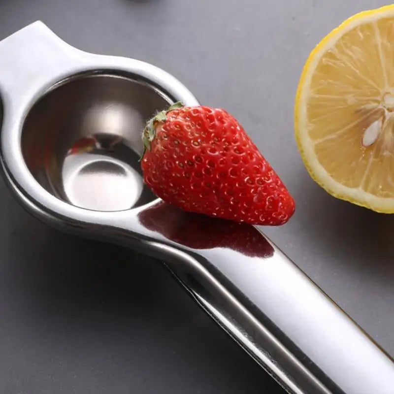 Stainless Steel Citrus Fruit Juicer