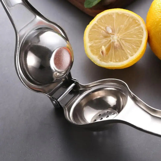Stainless Steel Citrus Fruit Juicer
