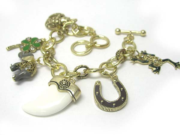 CRYSTAL AND EPOXY MULTI LUCKY CHARM DANGLE BRACELET-0